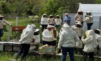 Bolu’nun dört bir yanından arı kursuna yoğun ilgi......