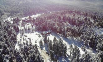 Bolu'nun karla kaplı ormanları havadan görüntülendi