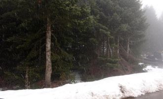 Bolu’nun yüksek kesimlerinde kar yağışı etkili oldu...............