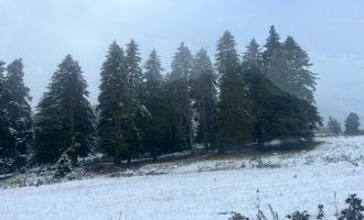 Bolu'nun yüksekleri beyaz örtüyle kaplandı........