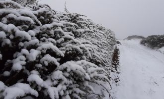 Bolu'nun yükseklerinde kar kalınlığı 5 santimetreye ulaştı...