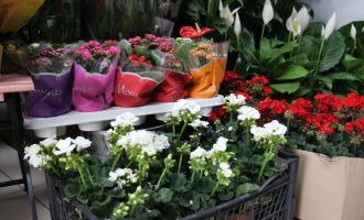 Çiçekçilerde Anneler Günü yoğunluğu..........