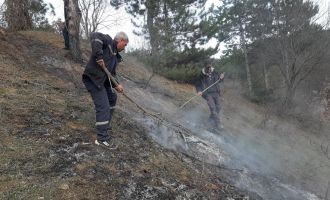 Çobanın müdahalesi faciayı önledi.....