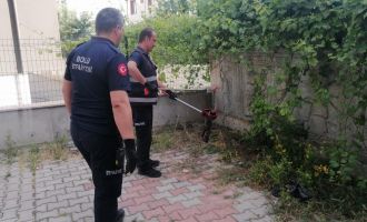 Çocukların bahçede oynarken karşılaştığı yılan doğaya salındı