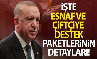 Cumhurbaşkanı Erdoğan, esnaf ve çiftçiye destek paketlerini açıkladı!