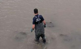 Derede mahsur kalan köpeği itfaiye ekipleri kurtardı