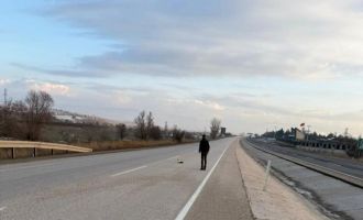 Duyarlı vatandaşlar kızıl şahinin hayatını kurtardı….