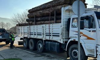 Düzce ve Bolu’da 30 noktada orman emvali kontrolü yapıldı