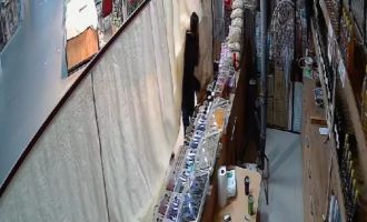 Elini kolunu sallayarak hırsızlık yaptı....