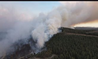 Gerede'deki yangın alanı havadan görüntülendi