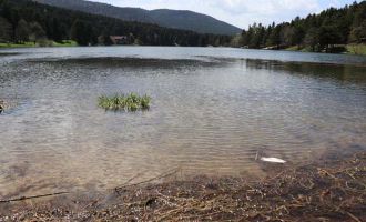 Gölcük’te açan çiçekler görsel şölen oluşturdu...........