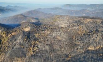 Göynük'teki yangının ardından yeşil alanlar siyaha döndü