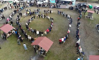 Hamsi festivalinde 3 bin kişiye 2 ton hamsi dağıtıldı