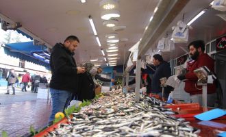 Hamsinin olmayışı, vatandaşı istavrite yöneltti