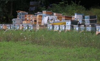 Hava şartları arıcıları olumsuz etkiledi...