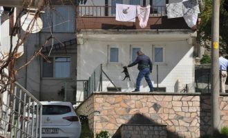 Havuzda boğulmak üzere olan yavru köpeği vatandaşlar kurtardı......