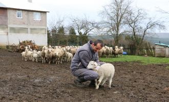 Hayvan başına destek ödemesi yüzde yüz artırıldı......
