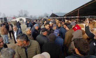 Hayvan pazarında hararetli pazarlık kamerada.......