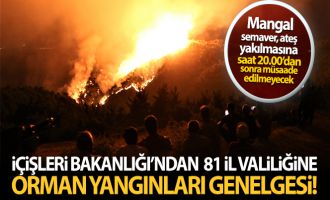 İçişleri Bakanlığı'ndan 81 il valiliğine orman yangınları konulu genelge