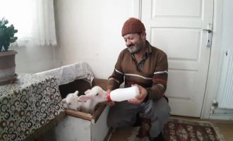 İkiz kuzular evin maskotu oldu..