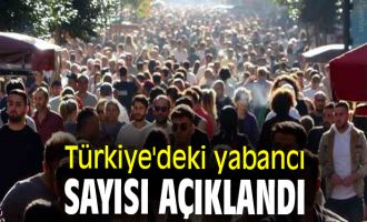 İlimizdeki izinli yabancı ve geçici koruma kapsamındaki yabancı sayısı belli oldu 