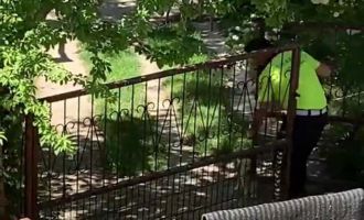 Kafası tele sıkışan yavru köpeğin imdadına polis memuru yetişti