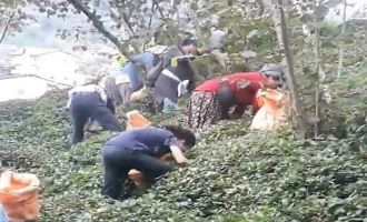 Karadeniz Bölgesi'ne fındık toplamak için gidecek işçiler yola çıktı