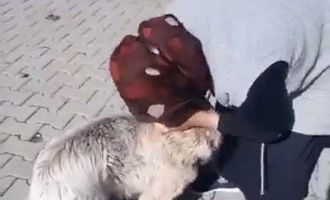 Kaybolan köpeğin sahibiyle buluşma anları duygulandırdı....