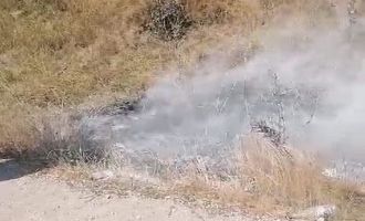 Kuru otların yandığını fark etti, faciayı önledi