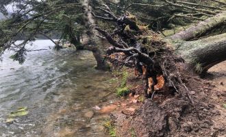 Lodos Gölcük Tabiat Parkı’nı yıktı geçti