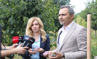 Mor patates, basın mensupları ile birlikte ilk kez topraktan çıkarıldı