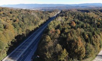 Orman denizini andıran rengarenk ağaçlar havadan görüntülendi..