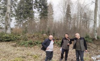 Orman gençleştirme sahaları kontrol edildi.....