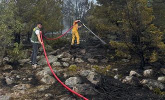 Orman yangınına erken müdahale faciayı önledi....
