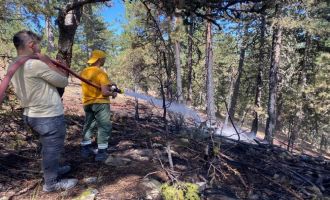 Orman yangınına erken müdahale felaketi önledi