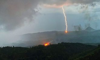 Ormana yıldırım düştüğünü gördü, yangın çıkmasını engelledi
