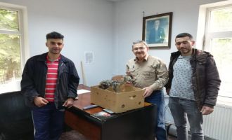 Ormanda bulunan yavru karaca koruma altına alındı......