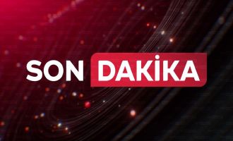 Ormanda kestiği ağaç üzerine devrilen orman işçisi hayatını kaybetti.....