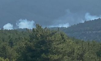 Ormanda yükselen dumanlar ekipleri harekete geçirdi