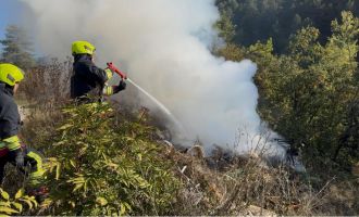 Ormanlık alanda çöp yangını büyümeden söndürüldü......