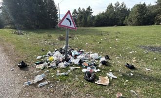 Ormanlık alanda çöp yığınları…...