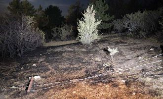 Örtü yangınında 5 hektarlık alan zarar gördü
