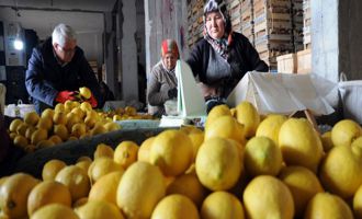 Pazarın zam rekortmeni 'Limon' oldu