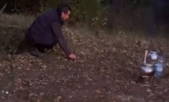 Piknik yaptıkları alana gelen tilkiyi köfteyle beslediler