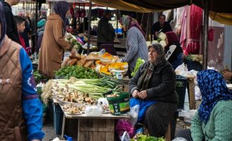 Sabriye teyzenin kanlıca mantarı mesaisi