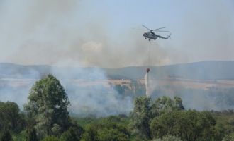 Sazlıkta yangın çıktı havadan müdahale ediyor...