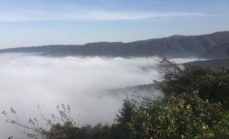 Sis çöken Bolu Dağında kartpostallık görüntüler oluştu