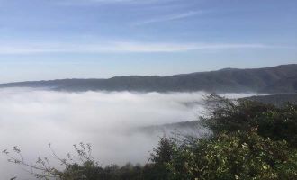 Sis çöken Bolu Dağında kartpostallık görüntüler oluştu....