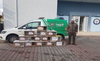 Sokak kedileri üşümesin diye kedi evleri Bolu’nun dört bir yanına konuldu