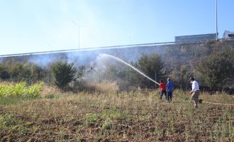 Sürücülerin sigara izmariti attığı otluk alan kül oldu